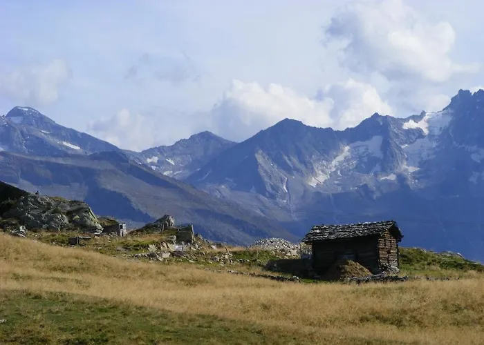 Neumann Daire Finkenberg